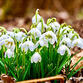 06013hh7-d840-83x83.jpg