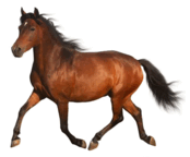 06013hu7-d83d-174x144.png