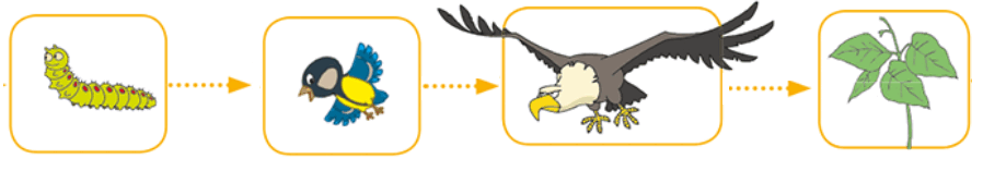 06013iix-926f-898x157.png