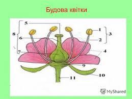 06013ilt-adf3-259x194.jpg