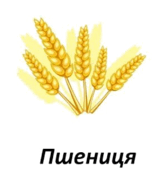 06013j0f-4eab-158x172.png