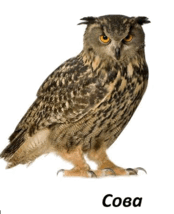 06013j1h-f10e-174x214.png