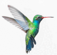 06013jb1-e96e-116x112.png