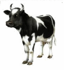 06013jdw-8bbb-129x140.png