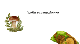 робочий аркуш: "Гриби та лишайники"