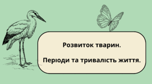Розвиток тварин. Періоди та тривалість життя.