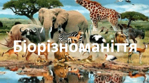 Біорізноманіття. Узагальнення