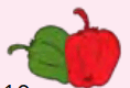 06013sf1-9d8d-118x80.png