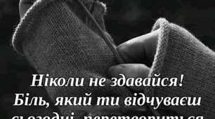 Цитата Дня