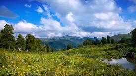 The world of Nature