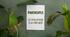 The Participle