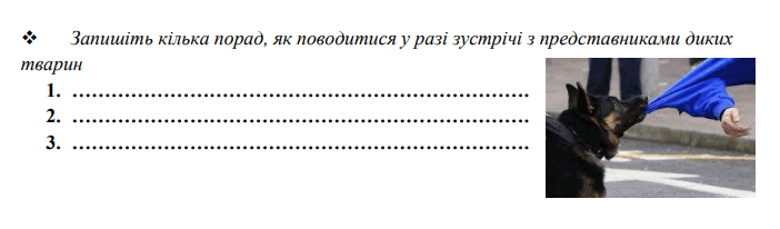 06013xvi-7bde-702x206.png