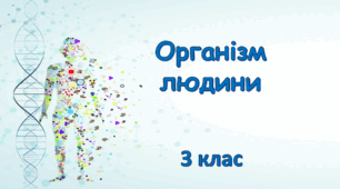 Діагностувальна робота. Організм людини. 3 клас