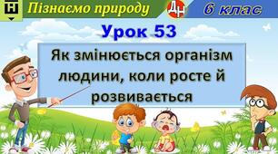 Відеоурок "Як влаштована і функціонує нервова система людини"