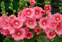 060141f4-5a1d-216x145.png