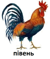060141ql-6993-208x244.png