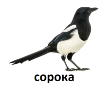 060141s4-673e-228x178.png
