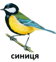 060141tc-c449-188x208.png