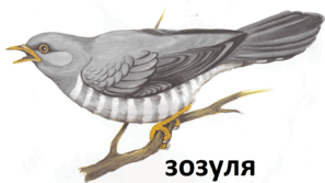 06014211-e717-297x167.png