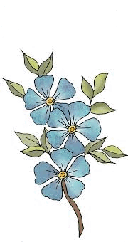 060142ao-a672-180x340.png