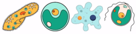 06014370-8282-273x69.png