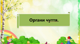 Презентація " Мої органи чуття "
