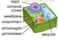 060143w6-dd12-189x133.png