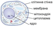 060143w9-9764-182x102.png