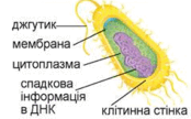060143wd-4099-174x108.png