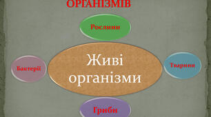 Пізнаємо різноманітність організмів 1