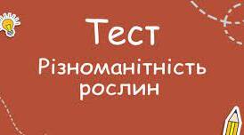 Різноманітність рослин