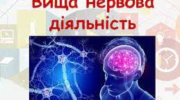 Поняття про вищу нервову діяльність.Природжені механізми поведінки людини.