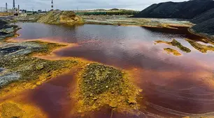 Значення води і водних розчинів у природі та житті людини. Кислотні дощі. Проблема чистої води. Охорона водойм від забруднення