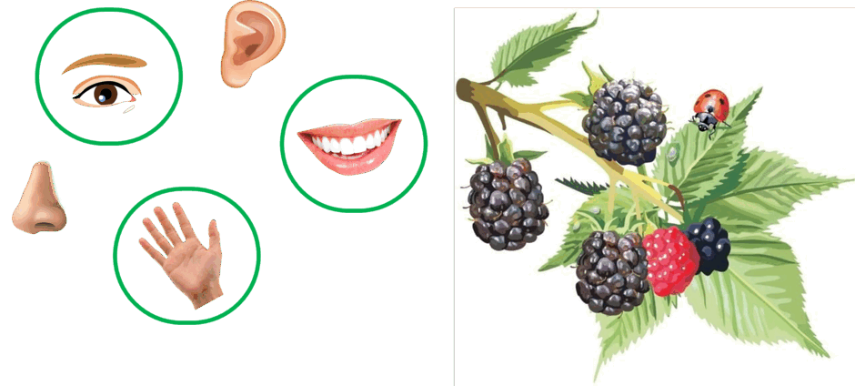 060146i4-de8b-940x424.png