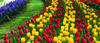 060147b3-3762-100x43.jpg