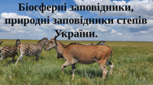 Біосферні заповідники, природні заповідники степів України
