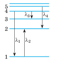 060147lh-5298-186x207.png