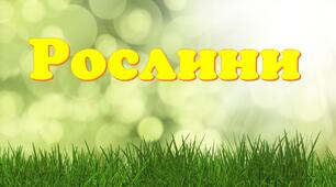 Діагностувальна робота "У царстві рослин"