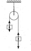 060148up-658f-128x213.png