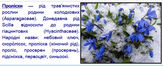 06014b6o-f6c3-617x250.png