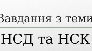 Презентація з теми: Основи теорії подільності(НСД і НСК)