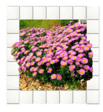 06014k07-3fbf-205x221.png