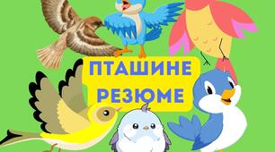 Міжнародний день птахів. Пташине резюме