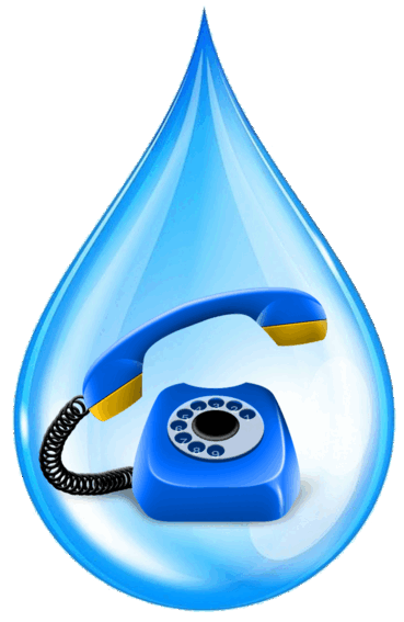 06014nz7-f31b-369x567.png