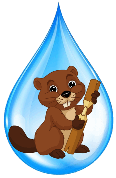 06014nzv-9f04-370x569.png