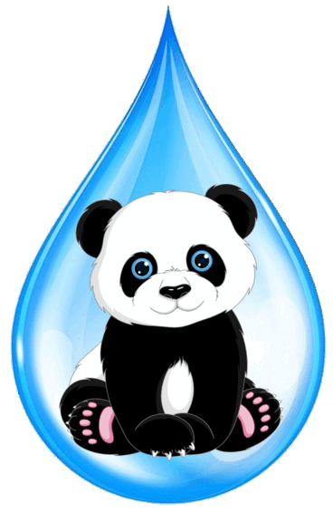 06014nzw-691c-368x566.png