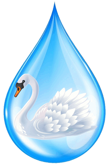 06014nzz-c7cc-370x569.png