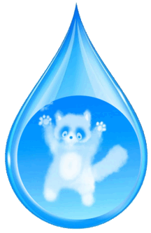 06014o1l-9540-216x332.png