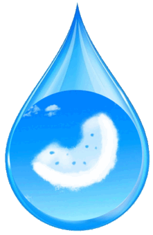 06014o1o-0084-221x340.png
