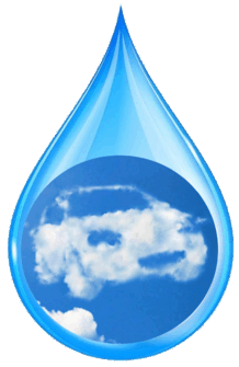 06014o20-e993-218x335.png
